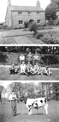 Details are in the caption following the image Details are in the caption following the image