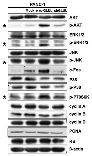 Details are in the caption following the image
