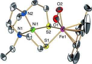 A High-Valent Iron(IV) Peroxo Core Derived from O2