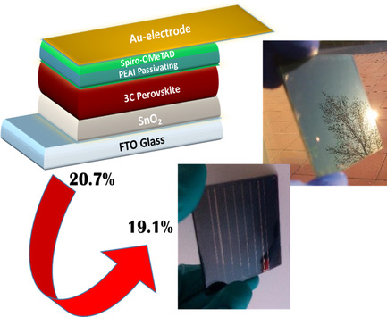 Hysteresis-Free Planar Perovskite Solar Module with 19.1% Efficiency by Interfacial Defects Passivation