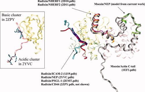 Details are in the caption following the image Details are in the caption following the image