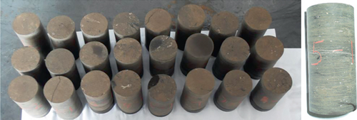 Details are in the caption following the image Details are in the caption following the image