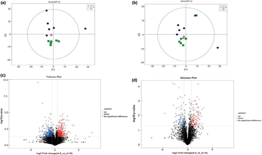 Exploring the effects of palm kernel meal feeding on the meat quality and rumen microorganisms of Qinghai Tibetan sheep