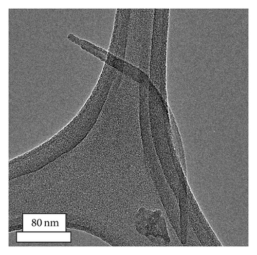 Details are in the caption following the image