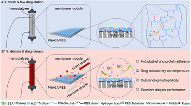 Straightforward Approach Toward Thermo-Sensitive Hydrogel Coating on Polyethersulfone Membranes with Controlled Drug Delivery for Significant Inhibition of Thrombocytopenia During Hemodialysis