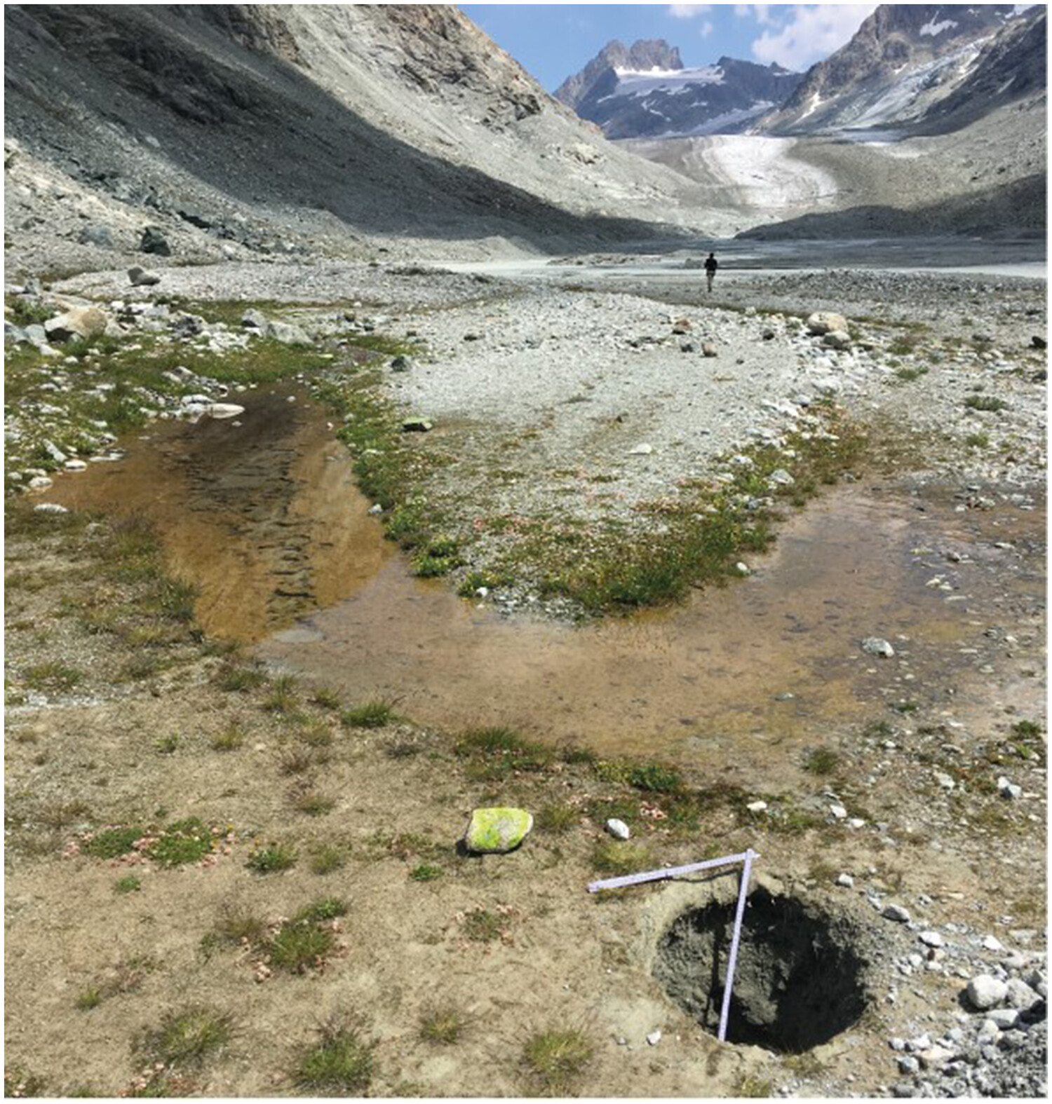 Ecosystem engineering by periphyton in Alpine proglacial streams
