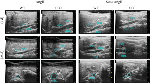 Details are in the caption following the image Details are in the caption following the image