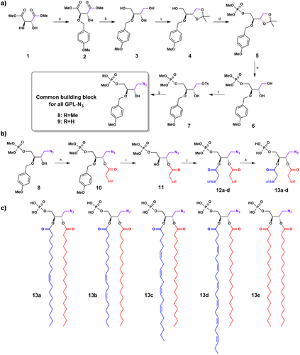 Details are in the caption following the image Details are in the caption following the image
