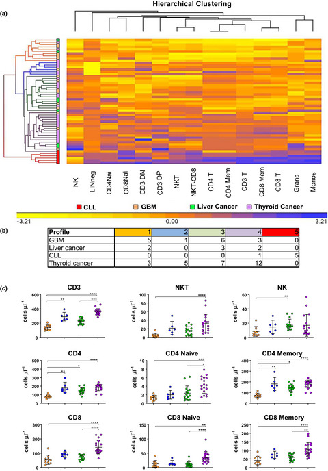 Categorisation of patients based on immune profiles: a new approach to identifying candidates for response to checkpoint inhibitors