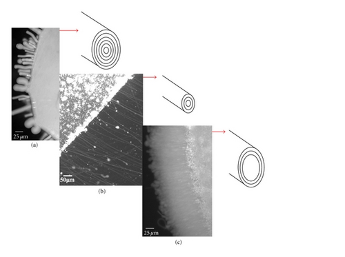 Details are in the caption following the image