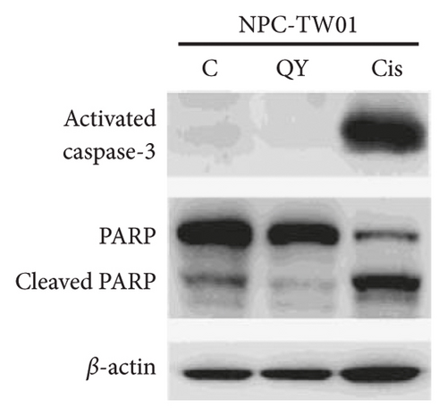 Details are in the caption following the image
