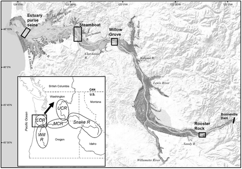 Details are in the caption following the image Details are in the caption following the image