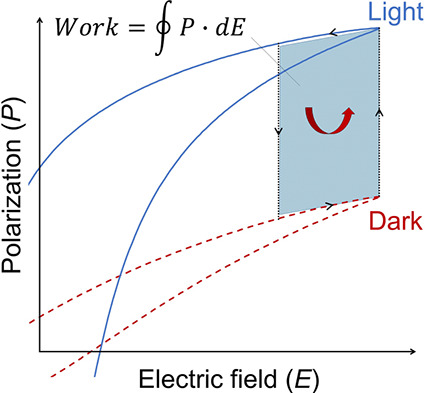 Coalition of Thermo–Opto–Electric Effects in Ferroelectrics for Enhanced Cyclic Multienergy Conversion
