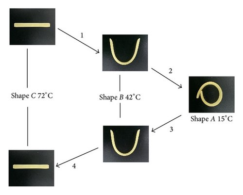 Details are in the caption following the image