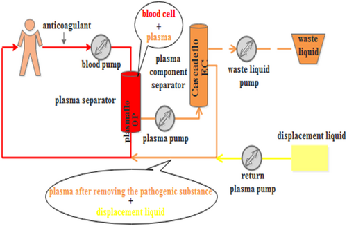 Details are in the caption following the image Details are in the caption following the image
