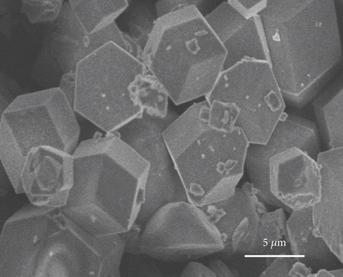 Details are in the caption following the image Details are in the caption following the image