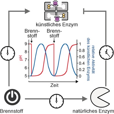 Cross-Regulation of an Artificial Metalloenzyme