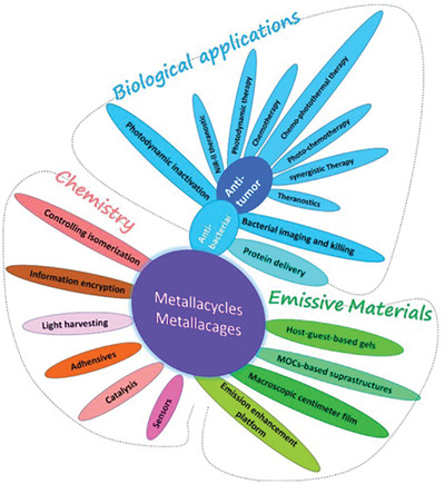 Metallacycles, metallacages, and their aggregate/optical behavior