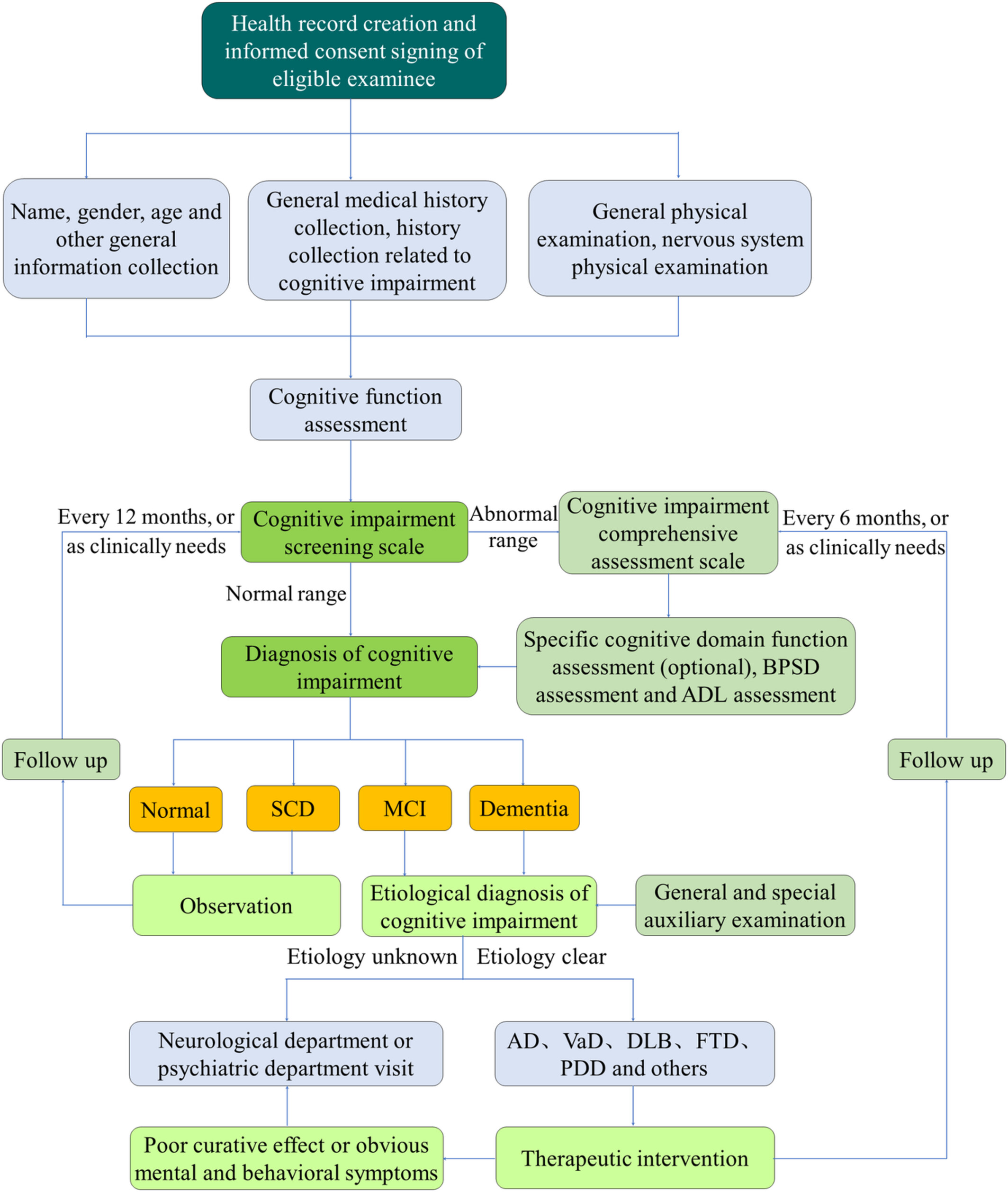 Chinese expert consensus on assessment of cognitive impairment in the elderly