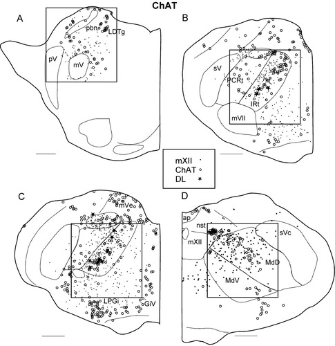Details are in the caption following the image
