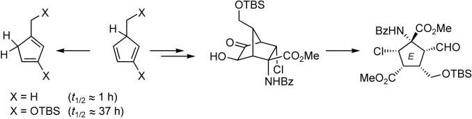 Stable 5-Substituted Cyclopentadienes for the Diels–Alder Cycloaddition and their Application to the Synthesis of Palau'amine