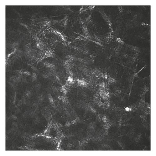 Details are in the caption following the image