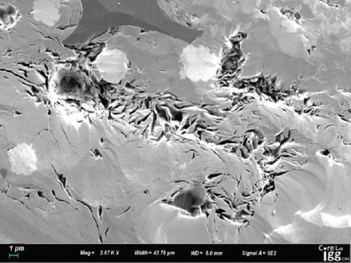 Details are in the caption following the image
