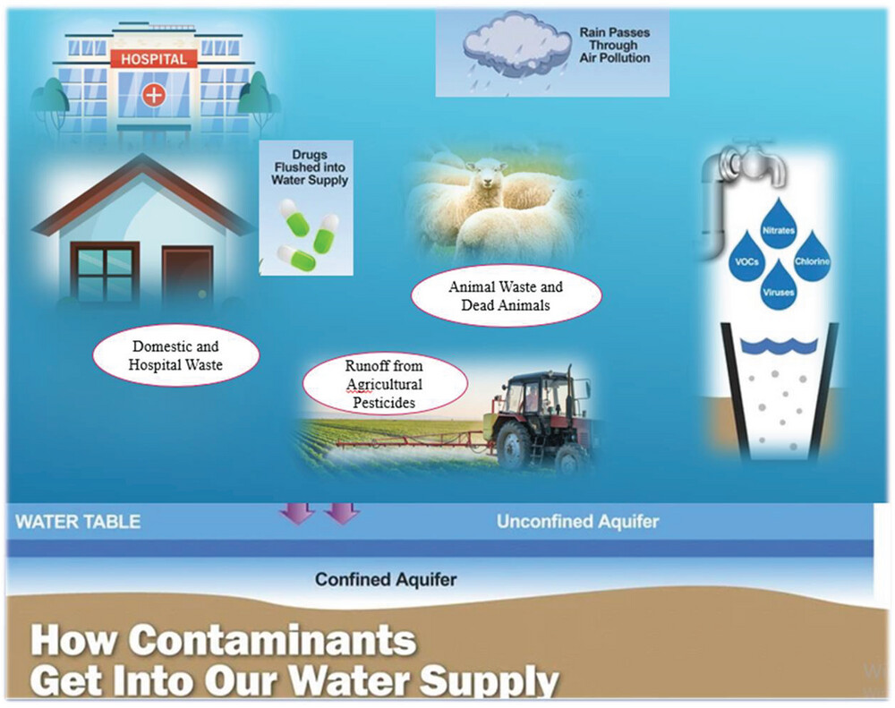 Concentrations and health risk assessment of selected cations and anions in drinking water in Antalya, Türkiye