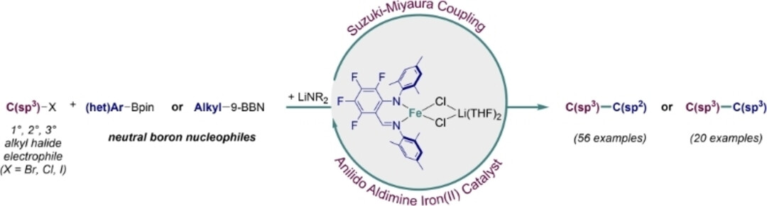 A Rationally Designed Iron(II) Catalyst for C(sp3)−C(sp2) and C(sp3)−C(sp3) Suzuki–Miyaura Cross-Coupling