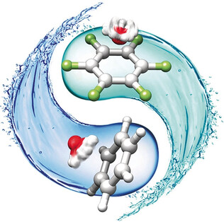 Rotational Spectroscopy Probes Water Flipping by Full Fluorination of Benzene