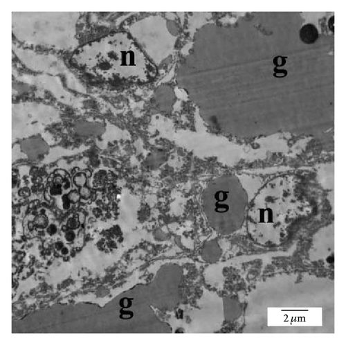 Details are in the caption following the image