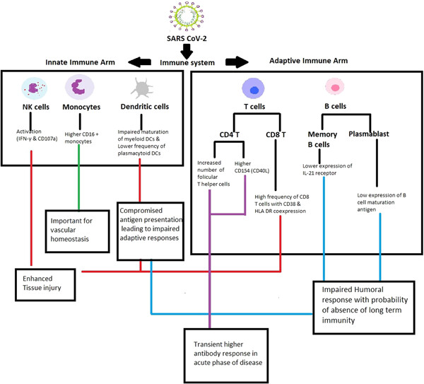 Disease-duration based comparison of subsets of immune cells in SARS CoV-2 infected patients presenting with mild or severe symptoms identifies prognostic markers for severity