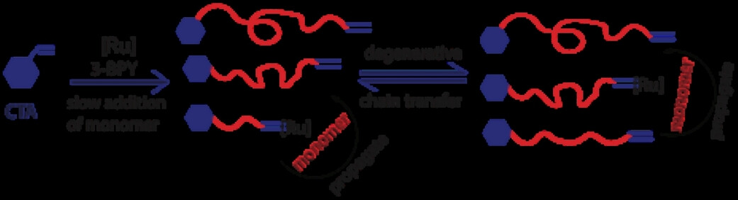 A Versatile Reversible, Degenerative Chain Transfer Mechanism for the Catalytic Living Ring-Opening Metathesis Polymerization