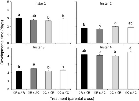 Limb ablation and regeneration in Harmonia axyridis: costs for regenerators, but benefits for their progeny