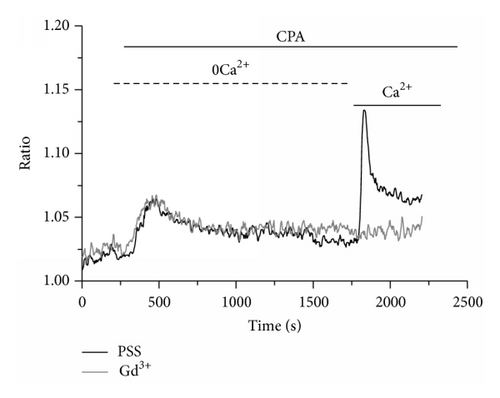 Details are in the caption following the image