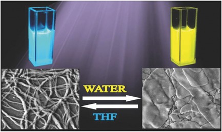 Photoswitching and Thermoresponsive Properties of Conjugated Multi-chromophore Nanostructured Materials