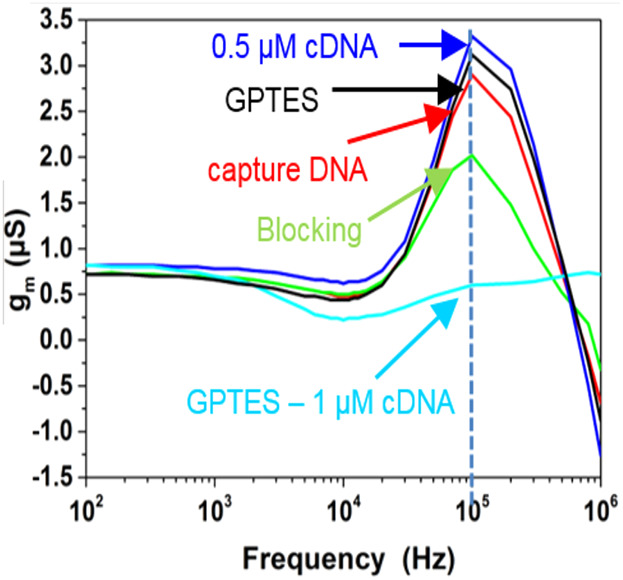 Impedimetric Sensing of DNA with Silicon Nanowire Transistors as Alternative Transducer Principle