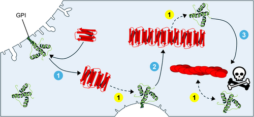 Details are in the caption following the image