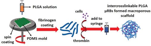 Injectable and Crosslinkable PLGA-Based Microribbons as 3D Macroporous Stem Cell Niche