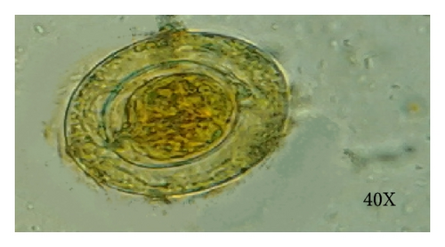 Details are in the caption following the image