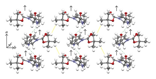 Details are in the caption following the image