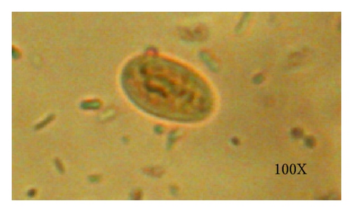 Details are in the caption following the image