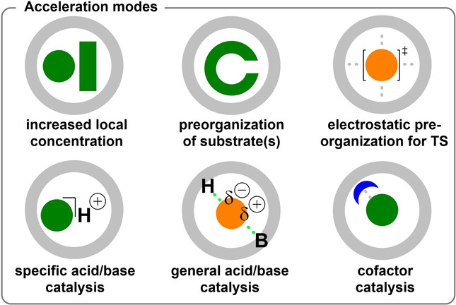 Reactivity Inside Molecular Flasks: Acceleration Modes and Types of Selectivity Obtainable