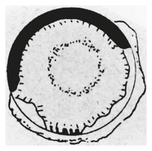 Details are in the caption following the image