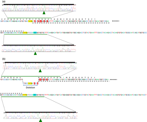 Details are in the caption following the image Details are in the caption following the image