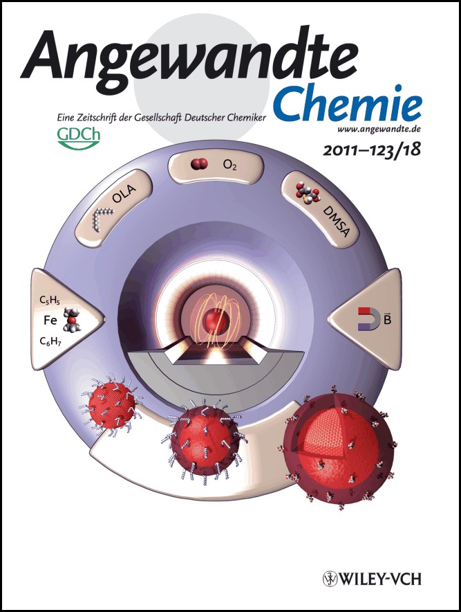 Rücktitelbild: Simple Synthesis and Functionalization of Iron Nanoparticles for Magnetic Resonance Imaging (Angew. Chem. 18/2011)