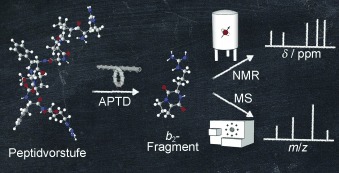 Nuclear Magnetic Resonance Structure Elucidation of Peptide b2 Ions