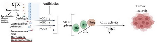 Details are in the caption following the image