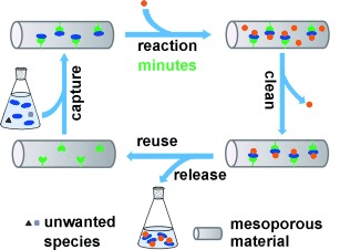 Highly Efficient Solid-Phase Labeling of Saccharides within Boronic Acid Functionalized Mesoporous Silica Nanoparticles
