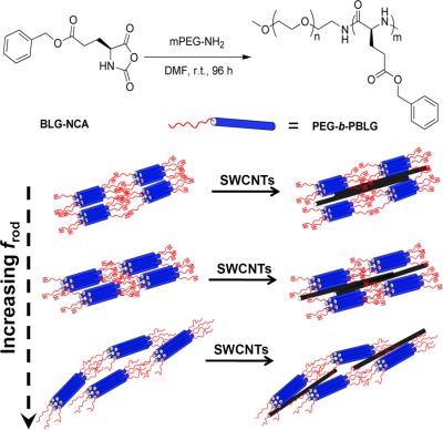 Synthesis and solid-state self-assembly of poly(ethylene glycol)-b-poly(γ-benzyl-l-glutamate)s and single-walled carbon nanotubes
